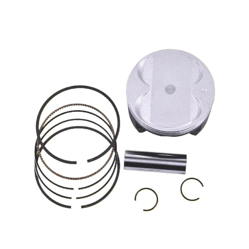 ERSATZTEIL 83mm STD +25~+1 STD ~+100 83mm~84mm Motorrad-Kolben- und Ringsatz Kompatibel mit AN400 AN 400 S 400 DL650 SV650 DR350(0.25 Piston Ring) von SoKOIUU