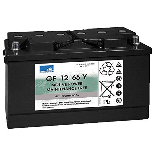 GF12065Y Sonnenschein Batterie (GF1265Y / GF 12 65 Y) von Sonnenschein