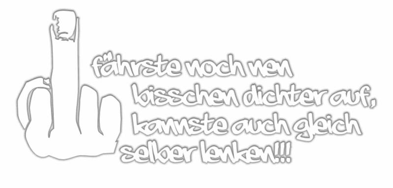 Wetterfester Aufkleber willst selber lenken 18 oder 70 cm Spruch Sprüche Auto von Spaß Kostet