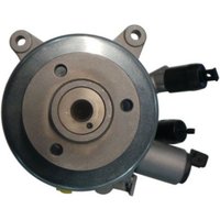 Hydraulikpumpe, Lenkung SPIDAN 54336 von Spidan