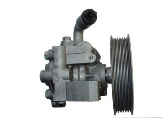 Hydraulikpumpe, Lenkung Spidan 54323 von Spidan