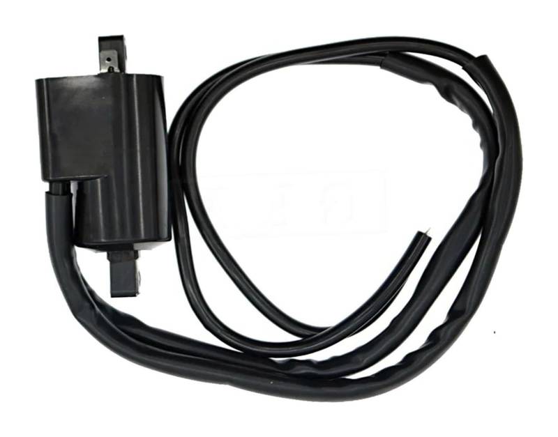 Für FZX750 Für Fazer 1986-1989 Für FZR1000 1987 1988 Motorrad Zündspule 12 V CDI Spulen Pack Zündspulen Motorradzündung Für Motorspule(Ignition-Coil) von Spring talks