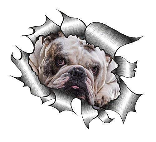 Sticar-it Ltd Zerrissenes Metall Auto Aufkleber Süße Britische Bulldogge Hund Haustier Vinyl Aufkleber (Große 205x160mm Ca.) von Sticar-it Ltd