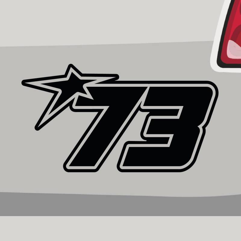 Stickerfreaks Startnummer 73 Aufkleber Race Sticker Stern Star Number Auto Bike Decal Aufkleber Größe: 10x5,5cm (S) | Farbe: 90-Silber | Race Sticker Kleber Deko Tuning Startnummer von Stickerfreaks