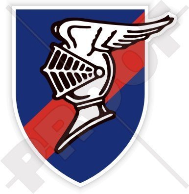 USAAF 9. Kämpfer Geschwader Emblem"The Flying Knights" 49. Kämpfer Gruppe, 5. Luftwaffe WWII 75mm Auto & Motorrad Aufkleber, Vinyl Sticker von StickersWorld