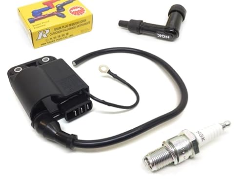 CDI Zündspule, NGK Zündkerze & Stecker passend für Piaggio Free, Sfera 50 80 NSL, TPH, Zip 2T von Streetparts24