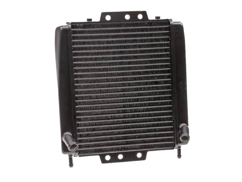 Kühler Wasserkühler Radiator für Piaggio MP3 125 250 300 400, Gilera Fuoco 500 von Streetparts24