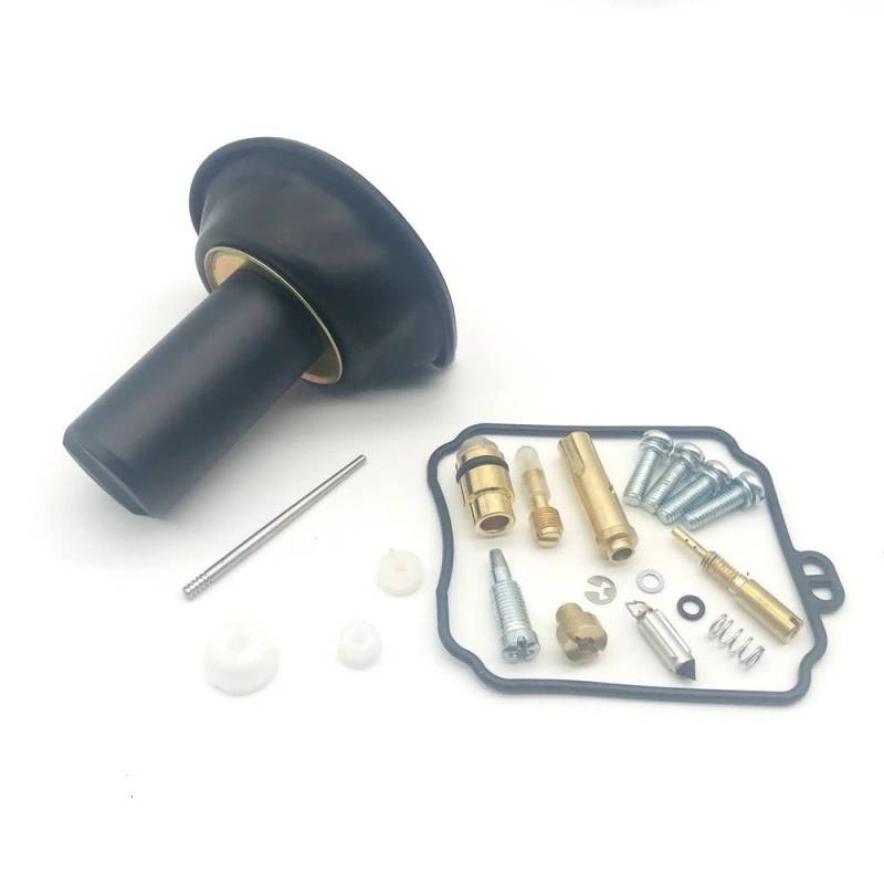 Vergaser-Reparatur-Reparatur-Set für 250 XV250 von SweetMmj