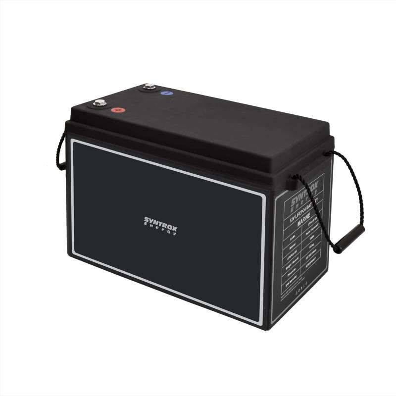 Syntrox Energy Lithium LiFePO4 Batterie Akku Advantage 12,8V BMS 40Ah bis 200Ah, 4000-15000 Zyklen, 1280Wh Ausgangsleistung (150Ah) von Syntrox Germany