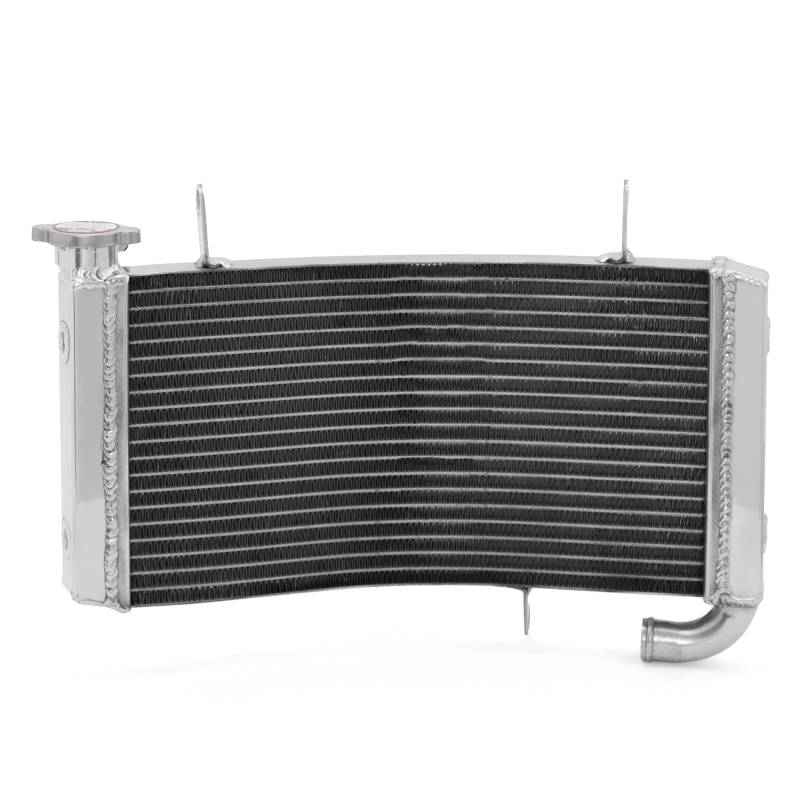 TARAZON Motorrad Aluminum Wasserkühler Motorkühlung Kühler Radiator für DUCATI Monster S4 2001 2002 S4R 03-08 von TARAZON