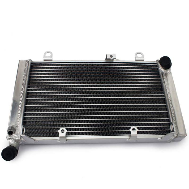 TARAZON Motorrad Aluminum Wasserkühler Motorkühlung Kühler Radiator für Honda CBF 1000 2006-2010 CBF 1000 ABS SC58 SC64 2006-2012 OEM 19010-MFA-D01 von TARAZON