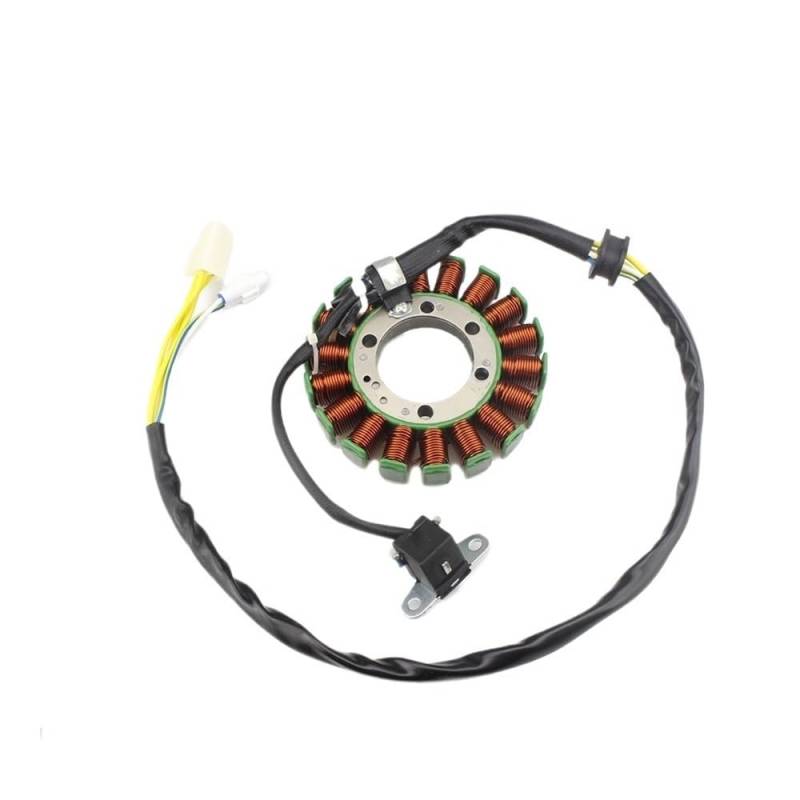 TBUOIUE Stator Spule 32101-45G00 32101-45G10 32101-45G11 Magneto Stator Spule Für LTR450 Für LT-R450 Quad Racer von TBUOIUE