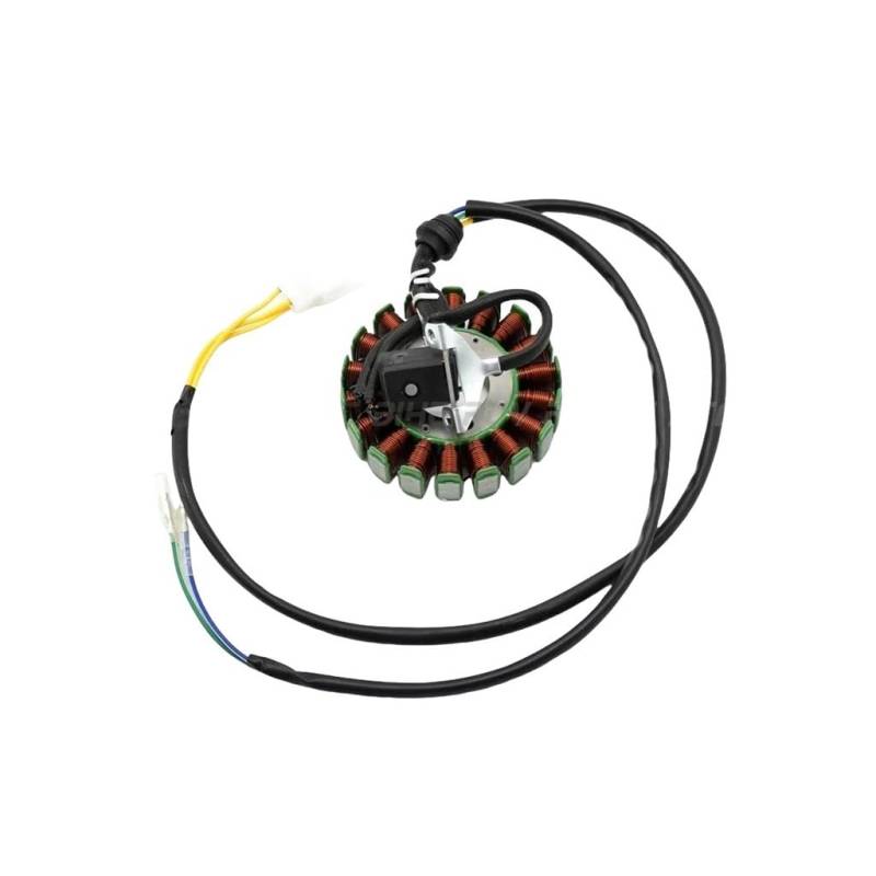 TBUOIUE Stator Spule Pole 18 Spule Stator Magneto 200W Motor Für CG250 Motor Für 250cc Für 200CC Quad Buggy Bike MotorcycleGo Karts von TBUOIUE