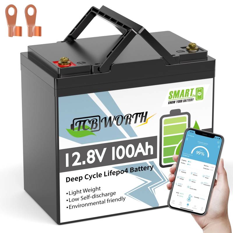 TCBWORTH LiFePO4 100Ah Bluetooth 12.8V Batterie Mini, lithium batterie 100A BMS, 4000-15000 Zyklen Deep Cycle akku, Perfekter Ersatz für Blei-Säure Batterien für wohnmobil, Camping, Solar, Boot von TCBWORTH