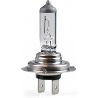 TECH Glühlampe, Fernscheinwerfer H7 Z7  VW,AUDI,MERCEDES-BENZ,Golf IV Schrägheck (1J1),Golf V Schrägheck (1K1),POLO (9N_),TOURAN (1T1, 1T2) von TECH