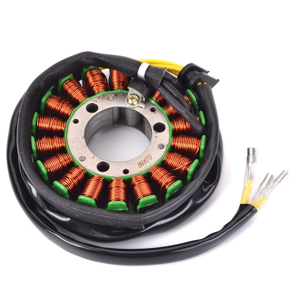 TERAM LOISIRS Lichtmaschine Stator kompatibel für Suzuki GS 500 E 1989 1990 1991 1992 1993 1994 1995 1996 1997 1998 1999 2000 von TERAM LOISIRS