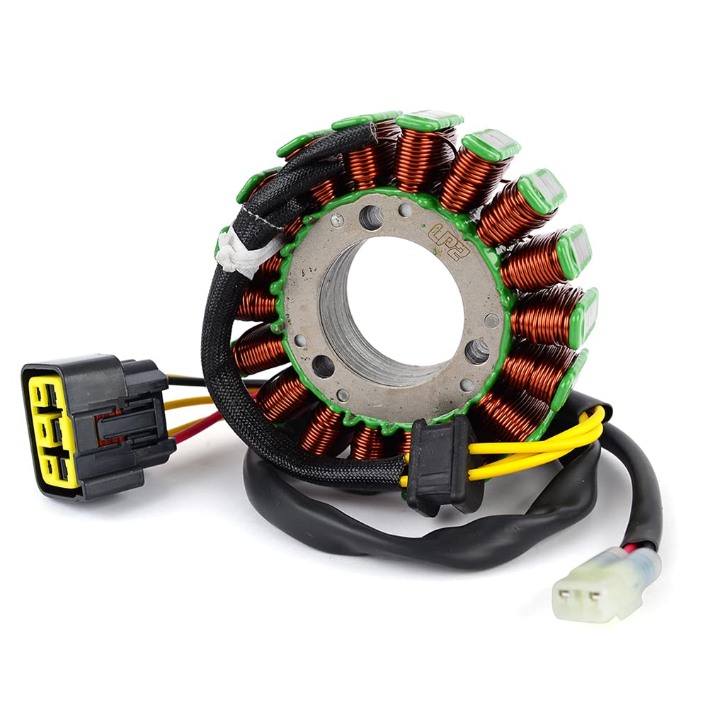 TERAM LOISIRS Lichtmaschine Stator kompatibel für TM Racing EN/MX 250 4Takt 2012 2013 2014 2015 2016 2017 2018 2019 2020 von TERAM LOISIRS