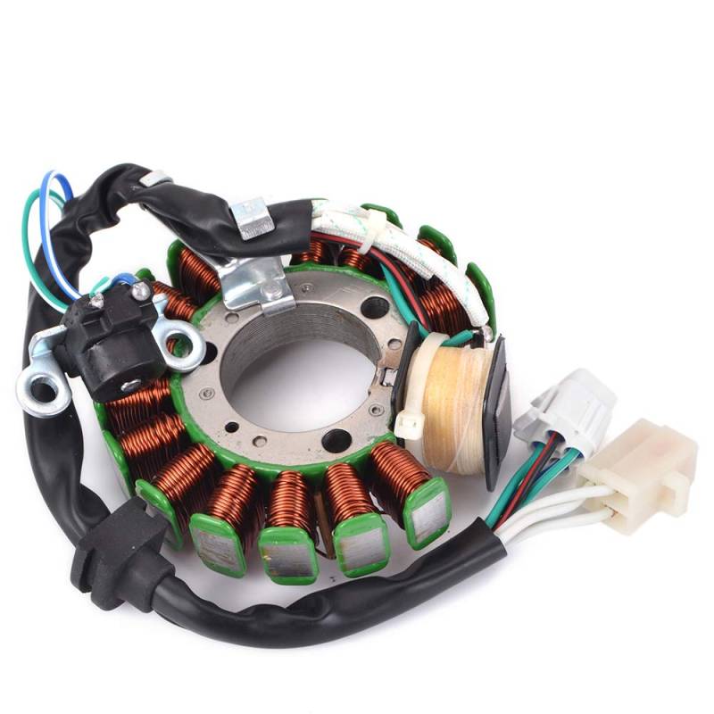 TERAM LOISIRS Lichtmaschine Stator kompatibel für Yamaha 5DS-85510-00 / 5DS-H5510-00 von TERAM-LOISIRS