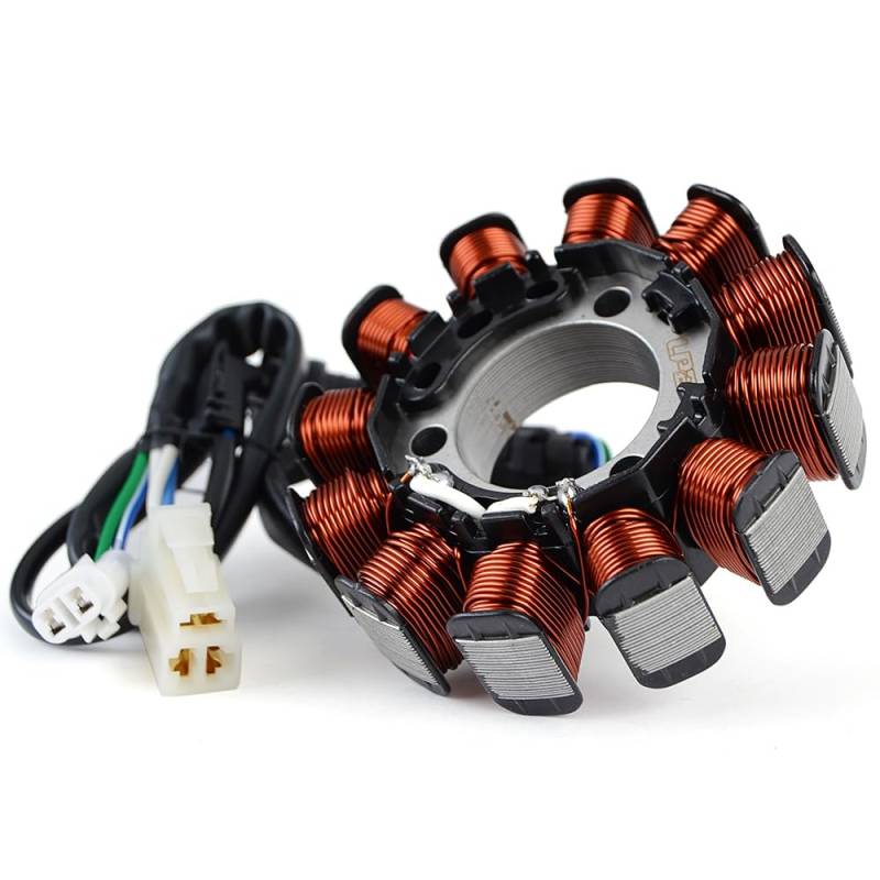 TERAM LOISIRS Lichtmaschine Stator kompatibel für Yamaha FZ 16 / FZ16 alle Jahre von TERAM LOISIRS