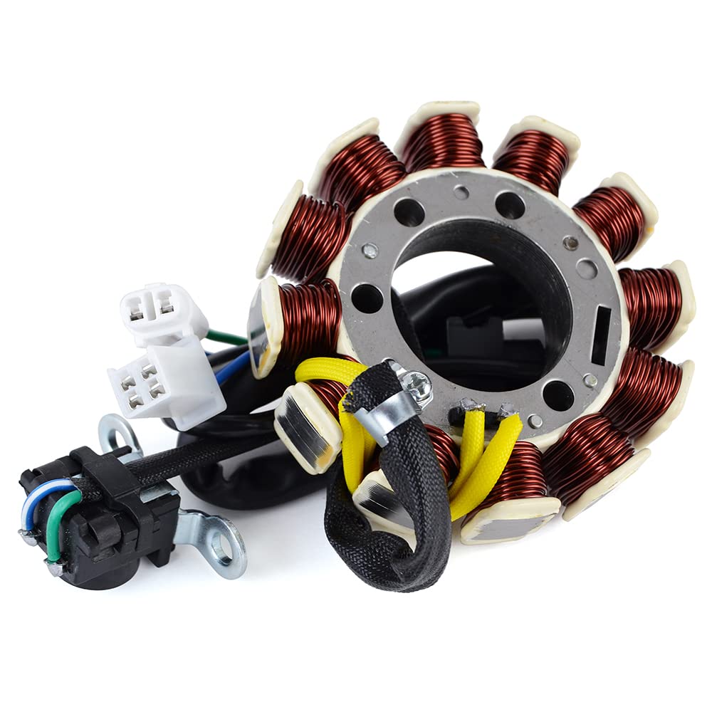 TERAM LOISIRS Lichtmaschine Stator kompatibel für Yamaha XT 125 / R/X von 2005 2006 von TERAM LOISIRS