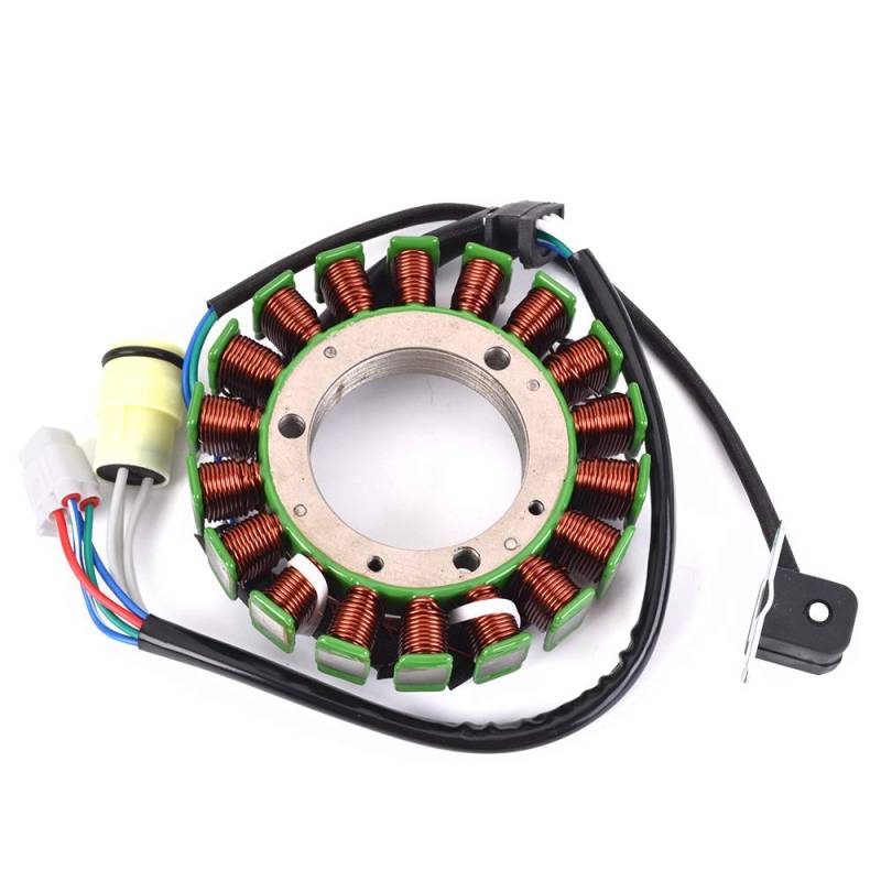 TERAM LOISIRS Lichtmaschine Stator kompatibel für Yamaha YFM 350 R RAPTOR 2004 2005 2006 2007 2008 2009 2010 2011 2012 2013 NEU von TERAM-LOISIRS