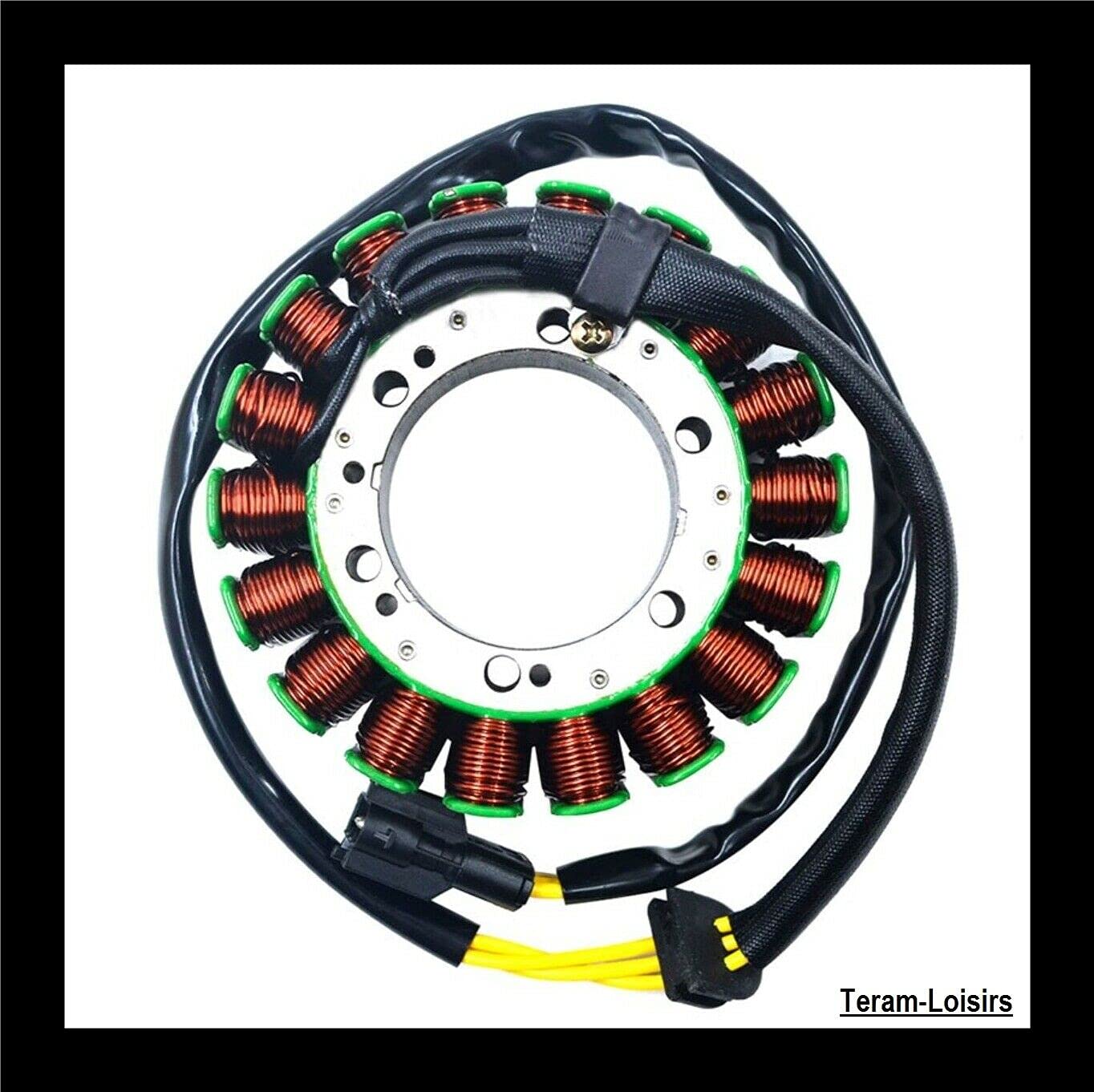 TERAM LOISIRS Lichtmaschine Stator kompatibel mit BMW F800 GS 800 F von 2009 2010 2011 2012 2013 2014 von TERAM LOISIRS