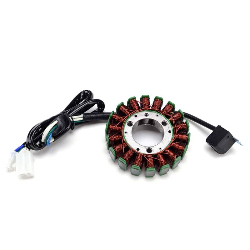 TERAM LOISIRS Stator Lichtmaschine kompatibel mit Yamaha TTR 250 TT-R250 ab 1999 2000 2001 2002 2003 2004 2005 2006 von TERAM LOISIRS