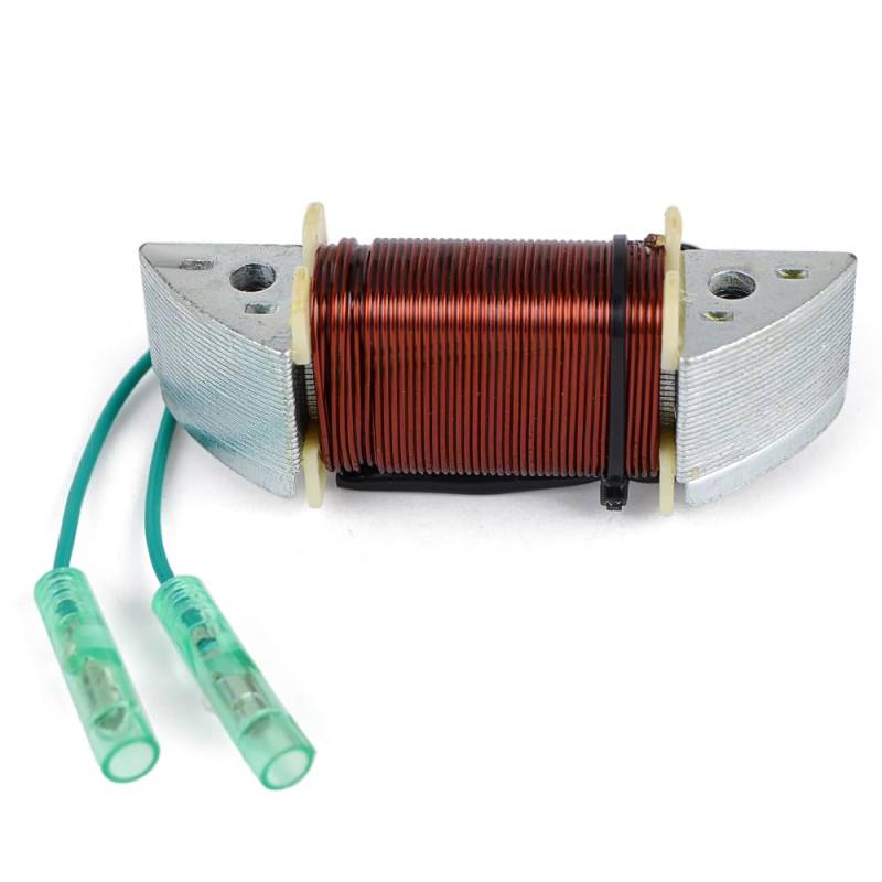 TERAM LOISIRS Stator Zündung, kompatibel mit Yamaha 15HP 15F MHS von 2010 2011 2012 2013 2014 2015 2016 2017 von TERAM LOISIRS