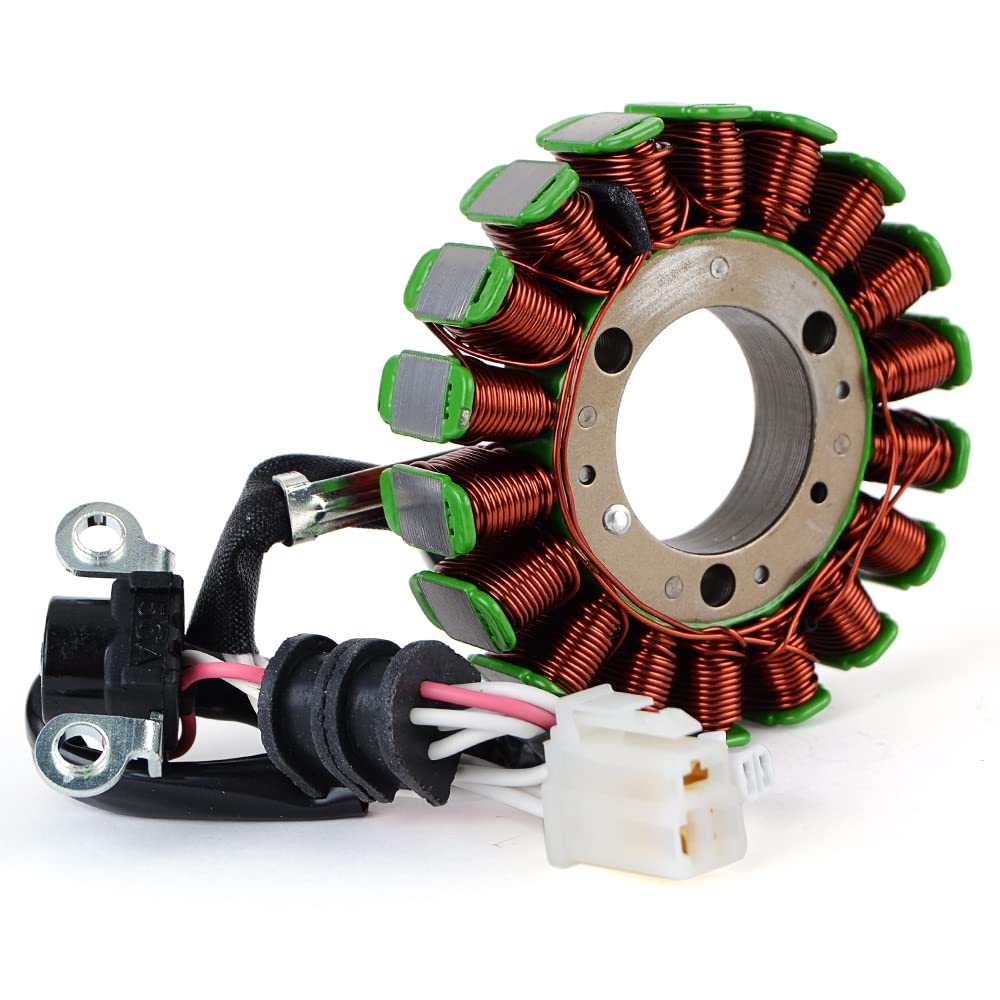 TERAM LOISIRS Stator Zündung für Yamaha R125 YZF R 2008 2009 2010 2011 2012 2013 von TERAM LOISIRS