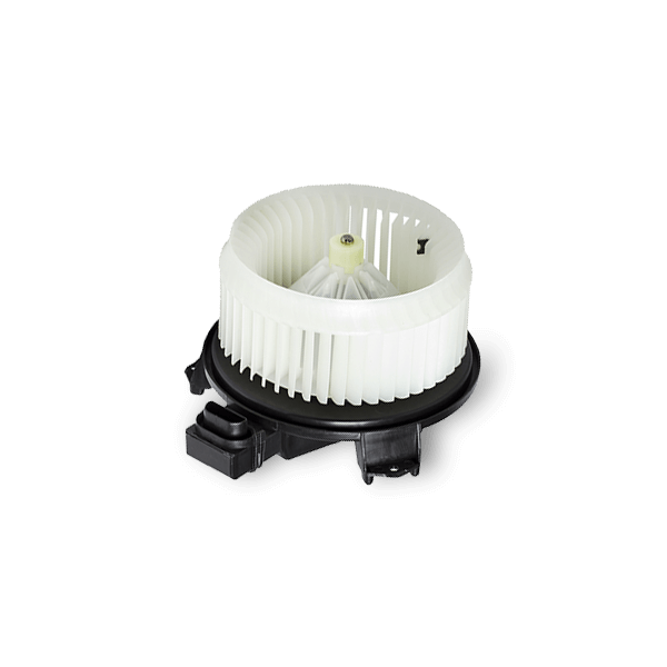 THERMOTEC Innenraumgebläse FIAT,LANCIA DDF020TT 77362495 Heizgebläse,Gebläsemotor,Lüftermotor von THERMOTEC