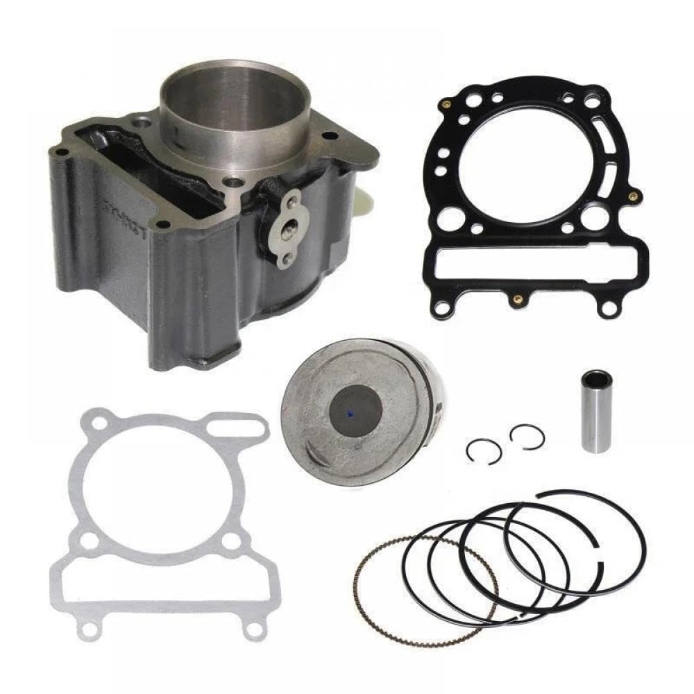 260cc 300cc Zylindersatz kompatibel mit Linhai Jinlang XY300UTV 250 260 300 Scooter ATV Quad(300CC CYLINDER KIT) von THgfdZX