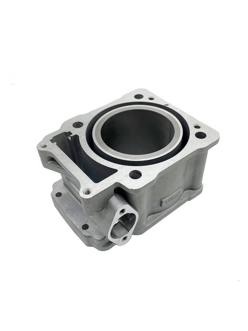 Motorrad Motor Hülse Zylinder Block Kolben Ring Zubehör Kompatibel Mit ZS174FMM CBS300 M6 KEWS(CYLINDER BLOCK) von THgfdZX