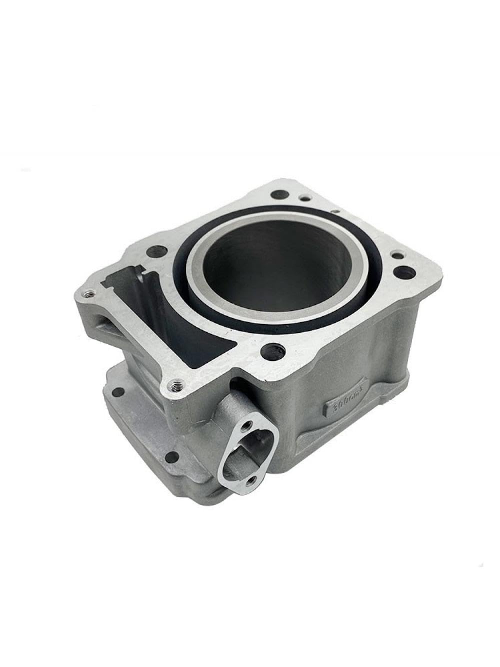 Motorrad Motor Zylinder Block Hülse Kolben Ring Kompatibel Mit ZS174FMM CBS300 M6 KEWS(CYLINDER BLOCK) von THgfdZX