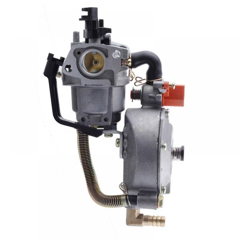 Vergaser kompatibel mit GX160 2KW 168F Wasserpumpe Dual Fuel Generator Auto Motorrad Schneefräse Kettensäge Zubehör von THgfdZX