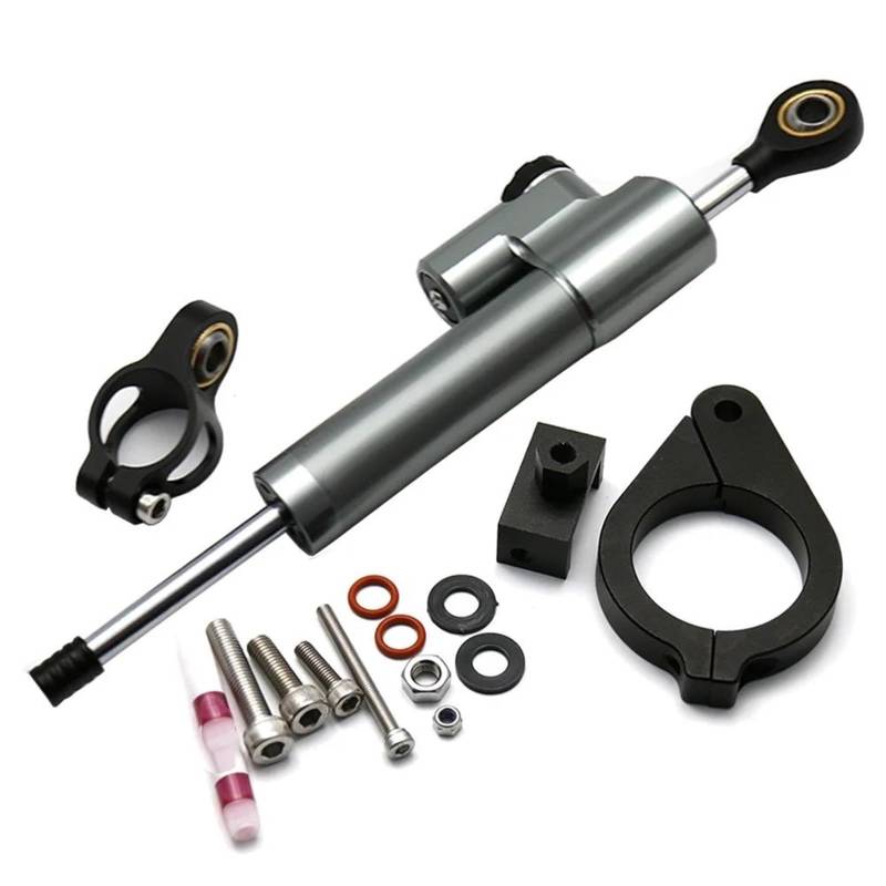 Dämpfer Lenkungsstabilisator Motorrad Einstellbare Dämpfung Halterung Autobahn Balance Lenkung Stabilisieren Dämpfer Kit Für F800 F800GS 2008-2017 CNC-Halterung(Type B) von TISURXQ