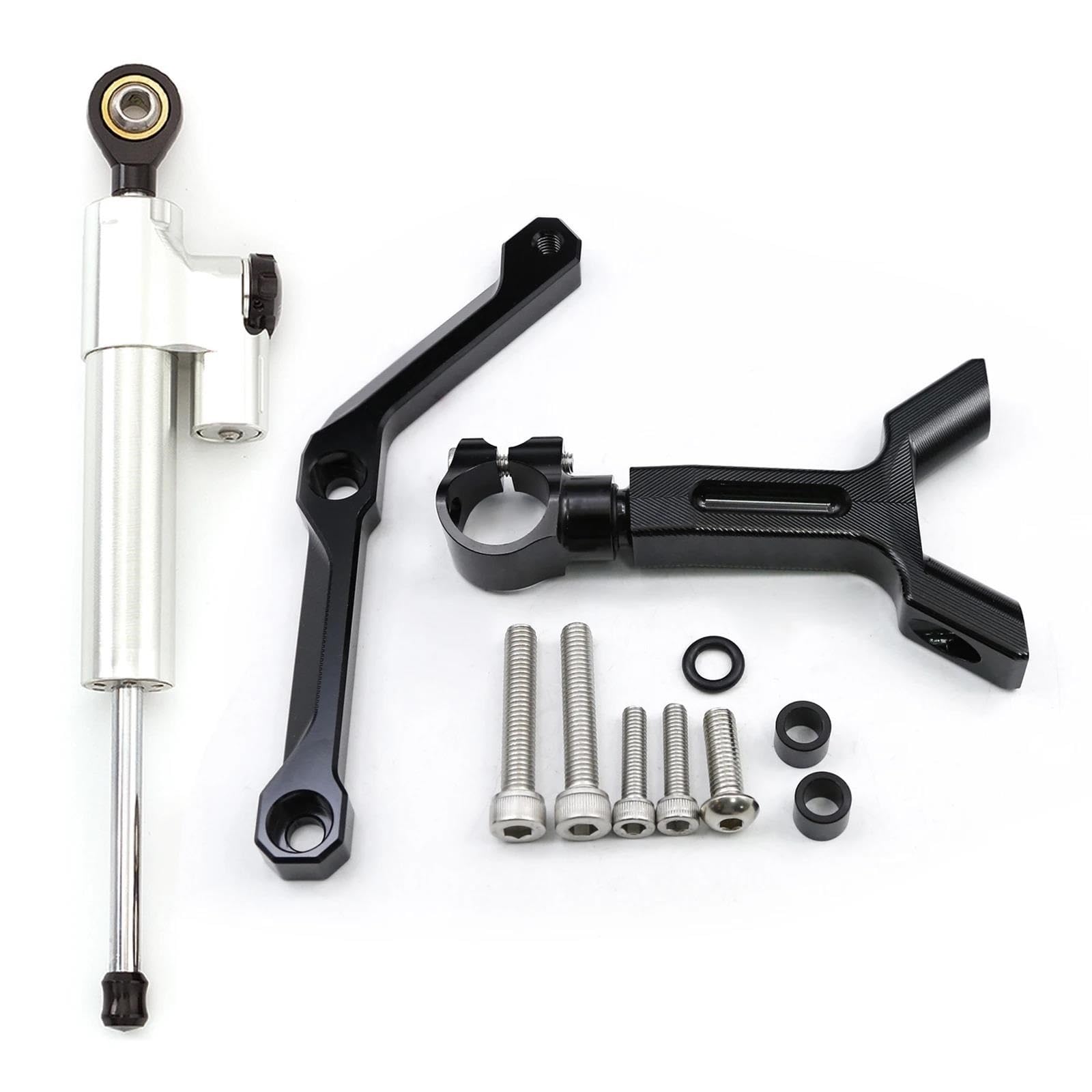 Dämpfer Lenkungsstabilisator Motorrad Lenkung Dämpfer Stabilisator Halterung Montage Kit Für Triumph Für Street Triple 765 S/R RS 2017-2022 Carbon CNC-Halterung(Silver Set) von TISURXQ