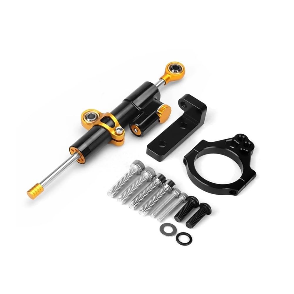 Motorrad Lenkungsdämpfer Für QJ Motor SRK 800RR QJMOTOR - SRK800RR Motorrad Stabilisator Lenkung Dämpfer Halterung Montage Kit Unterstützung Zubehör von TJKIB