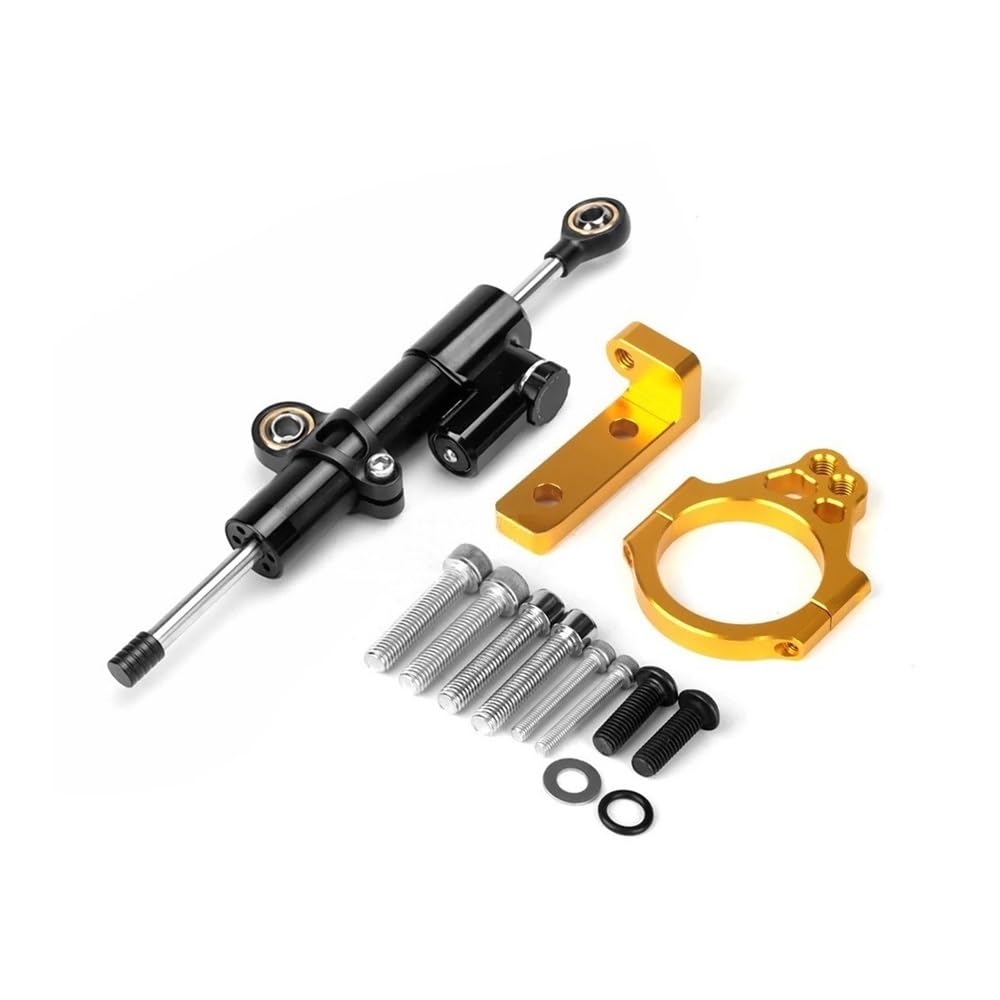 Motorrad Lenkungsdämpfer Für QJ Motor SRK 800RR QJMOTOR - SRK800RR Motorrad Stabilisator Lenkung Dämpfer Halterung Montage Kit Unterstützung Zubehör von TJKIB