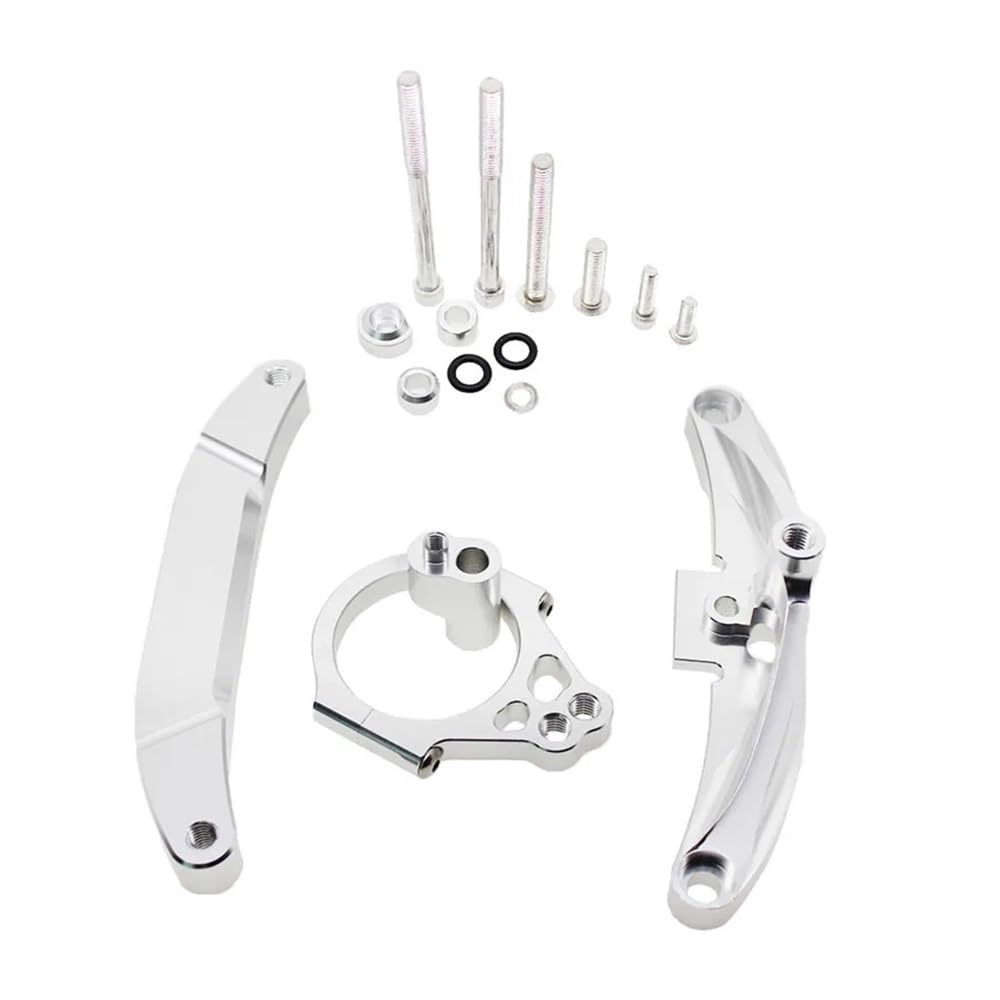 Motorrad Lenkungsdämpfer Für Yam&aha FZ1 Für FAZER 2006-2015 2014 2013 2012 2011 2010 2009 Motorrad Dämpfer Lenkung Stabilisieren Halterung Montage Kit von TJKIB