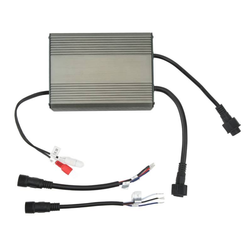 TKSE Auto-2-Kanal-Verstärker, Auto-Verstärker, 100 W, 2-Kanal-12-V-Power-Subwoofer, Intelligenter HiFi-Soundeffektverstärker von TKSE