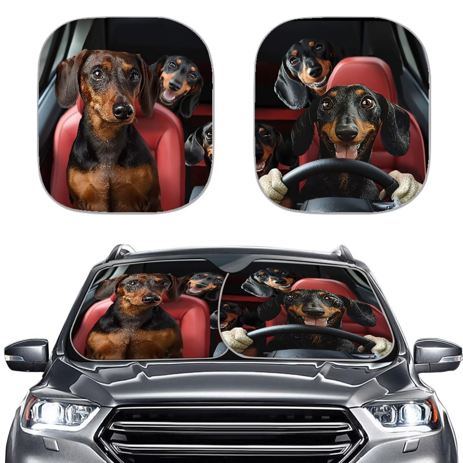 TOADDMOS Dachshund Fahrer Auto Sonnenschutz Reflektierende Auto Screen Protector Pack von 2 Auto Windschutzscheibe Abdeckung Auto Zubehör für Hitze von TOADDMOS