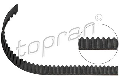 Topran Zahnriemen [Hersteller-Nr. 108010] für Audi, Seat, Skoda, VW von TOPRAN