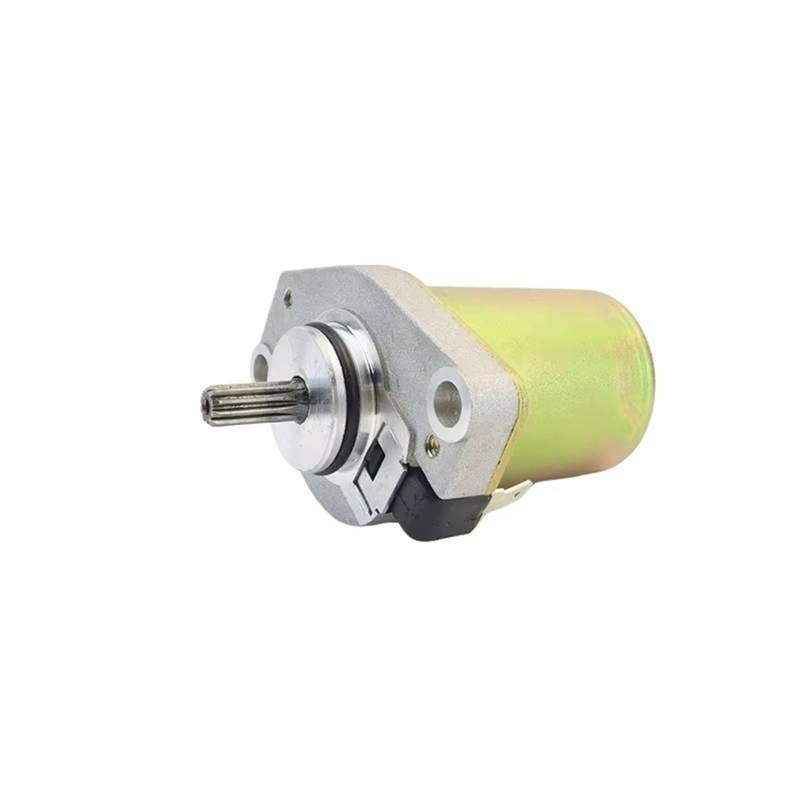 TPSOBRU Elektro Anlasser Für CY50H Für JOGPOCHE CY50 Jog YA50 YE50 YG50 YH50 YQ50 50cc Motor Motorrad Roller 5BM-81800-01 Elektrische Starter Motor Starter Motor von TPSOBRU