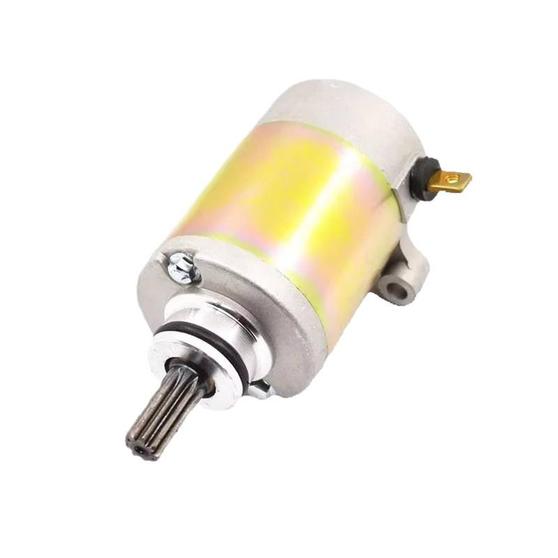 TPSOBRU Elektro Anlasser Für Suzuki QS100 QS125 Für Qingqi QS 100 125 Motor Ersatzteile Motorrad Motor Elektrische Starter Motor Starter Motor von TPSOBRU