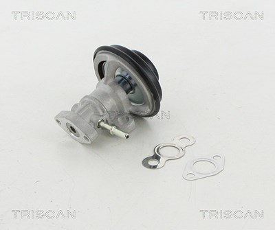 Triscan AGR-Ventil [Hersteller-Nr. 881313030] für Toyota von TRISCAN