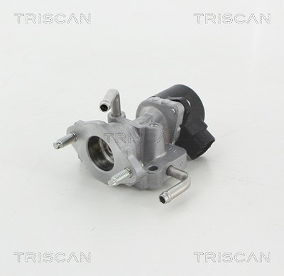 Triscan AGR-Ventil [Hersteller-Nr. 881313059] für Toyota, Lexus von TRISCAN