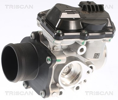 Triscan AGR-Ventil [Hersteller-Nr. 881316002] für Ford Usa, Ford von TRISCAN