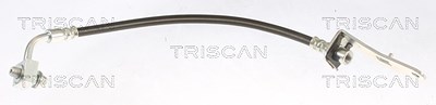 Triscan Bremsschlauch [Hersteller-Nr. 815081203] für Tesla von TRISCAN