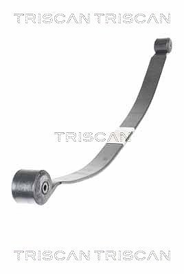 Triscan Federnpaket [Hersteller-Nr. 876516051] für Ford von TRISCAN