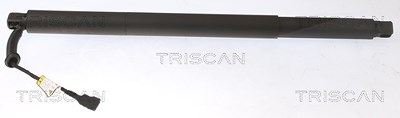 Triscan Gasfeder, Koffer-/Laderaum [Hersteller-Nr. 871016301] für Ford von TRISCAN